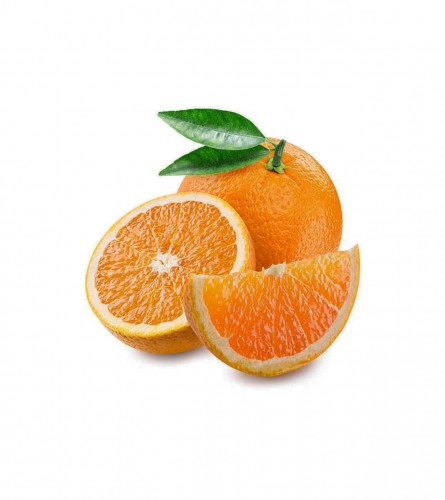 MASTER Narandža pakovana 2148032