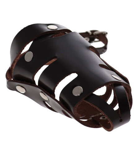 MASTER Brnjica za psa V 161 kožna