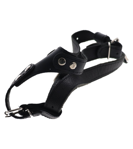 MASTER Ham za psa 2 181