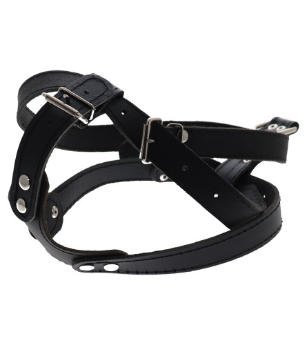 MASTER Ham za psa 3 182