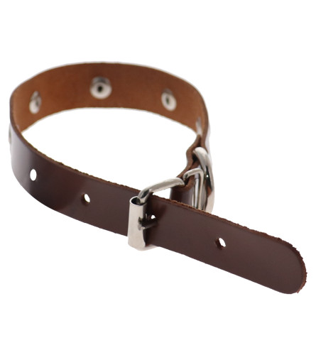 MASTER Ogrlica kožna za psa 20 sa ukrasima 2013