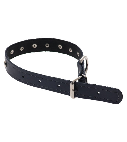 MASTER Ogrlica kožna za psa 25 sa grutnom i ukrasom 2006