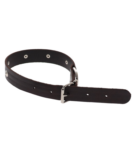 MASTER Ogrlica kožna za psa 30 + bodlje 2009