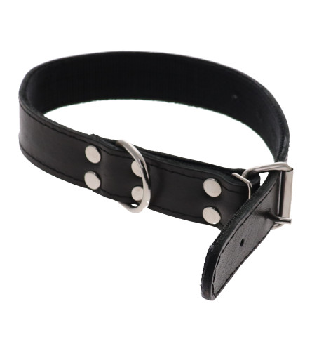 MASTER Ogrlica kožna za psa 35 141