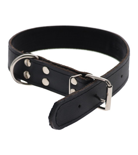 MASTER Ogrlica kožna za psa 40 142