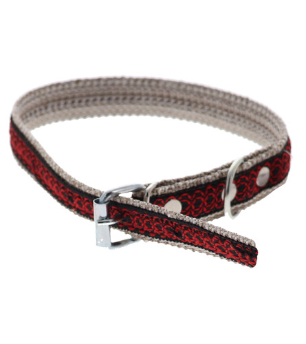 MASTER Ogrlica za psa 25x600 F63