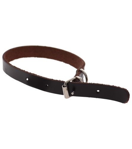 MASTER Ogrlica kožna za psa 15 2001