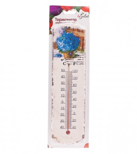 MASTER Termometar 27cm 01200663