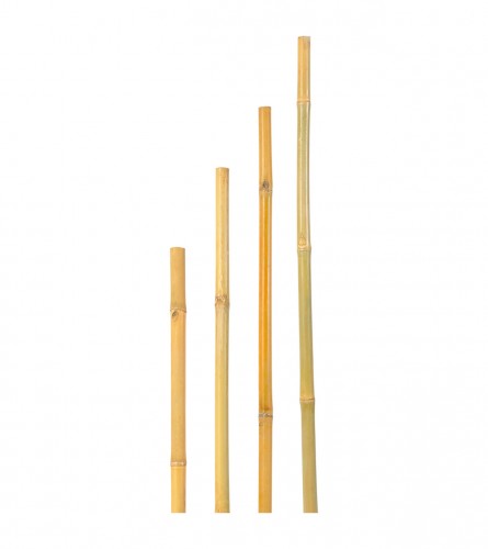 VERDEMAX Štap od bambusa 150cm V006675