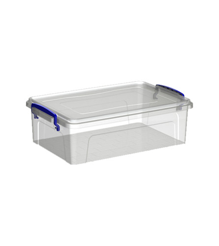 FORA Kutija višenamjenska Clear Box Deep 3l