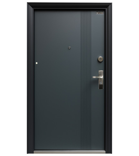 MASTER Vrata metalna-L-QSD-878 205x96x7cm siva