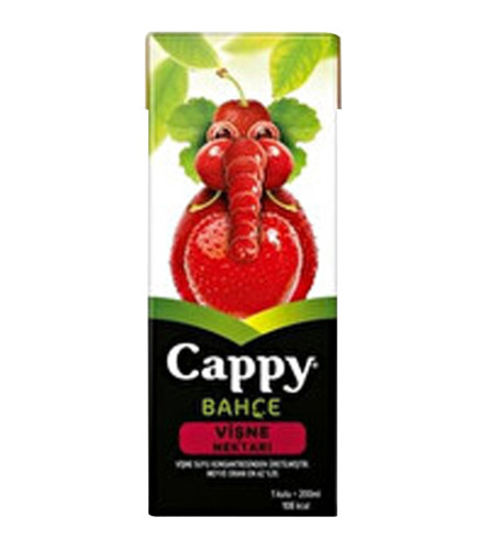 CAPPY Sok mini vi&scaron;nja tetrapak 200ml