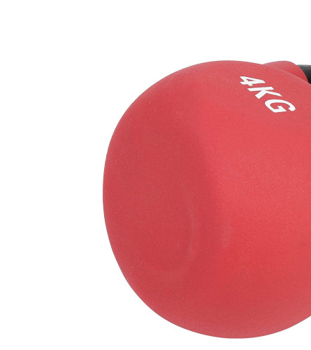 MASTER Teg girja/kettlebell 4kg 251878