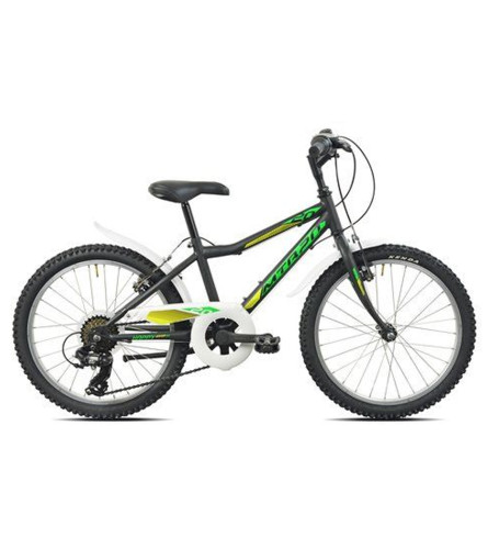 MASTER Biciklo ESPERIA MTB 20" 6V 259200N crni