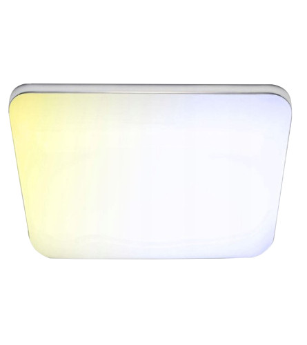 MASTER Lampa LED nadgradna sa daljinskim 42W 49x49cm