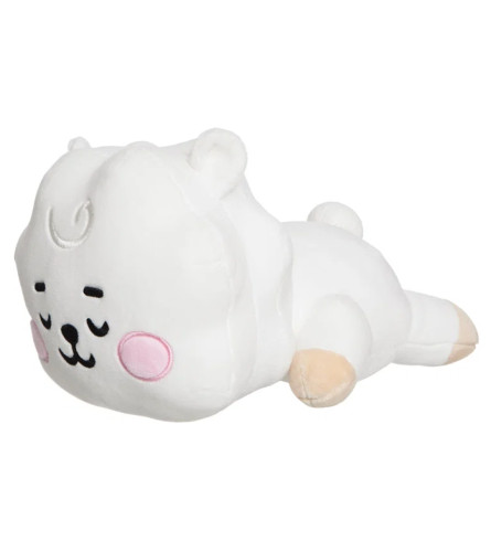 MASTER Igračka jastuk pli&scaron;ani RJ Baby 61444