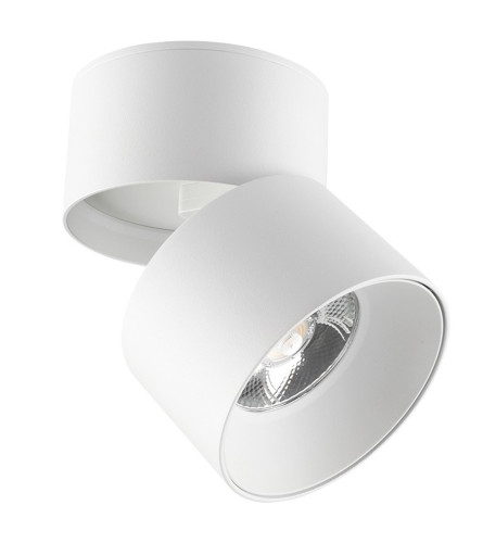 VITO Lampa LED spot 20W 4000K LAZY-20 2102930 bijela