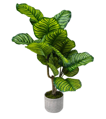 MASTER Cvijeće ukrasno umjetno 90cm Calathea 750-22
