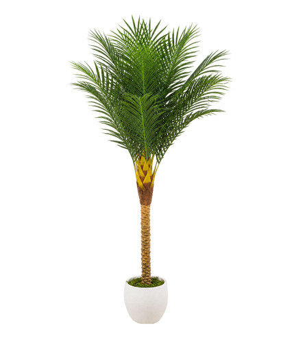 MASTER Cvijeće ukrasno umjetno Palma 180cm 930-27